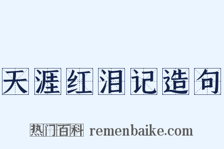 天涯红泪记造句是什么意思的图片